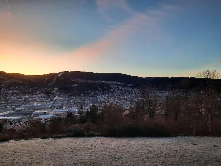 Appartement Residence Les Dryades Avec Vue Montagne Gerardmer Exterior photo