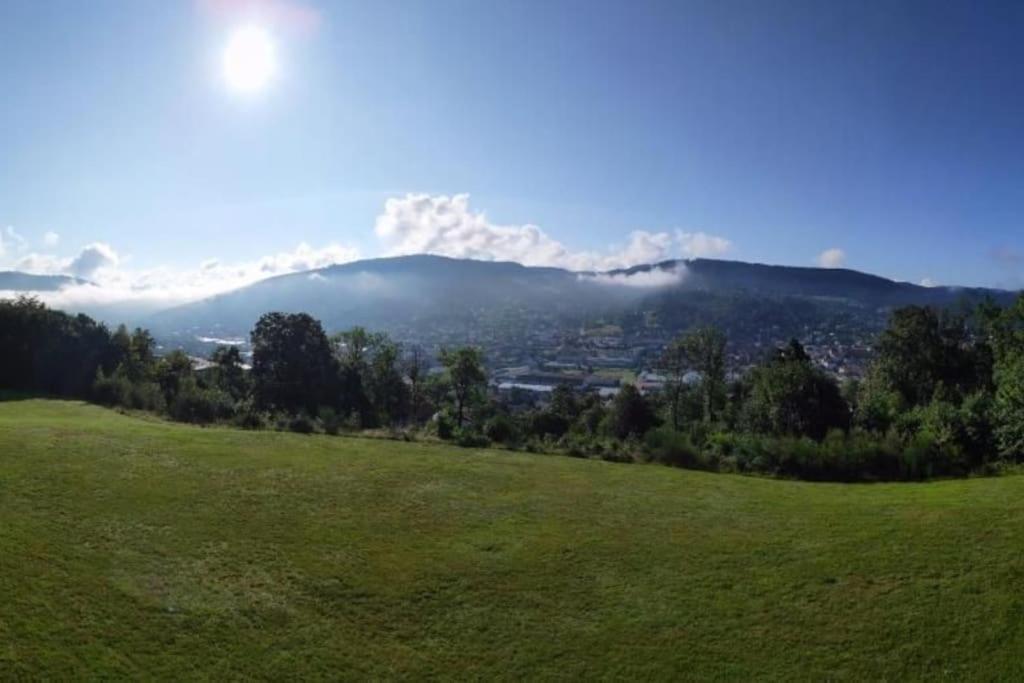 Appartement Residence Les Dryades Avec Vue Montagne Gerardmer Exterior photo