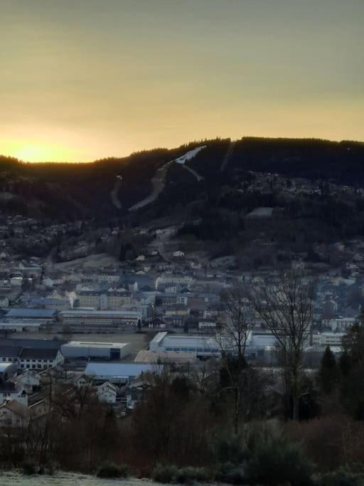 Appartement Residence Les Dryades Avec Vue Montagne Gerardmer Exterior photo
